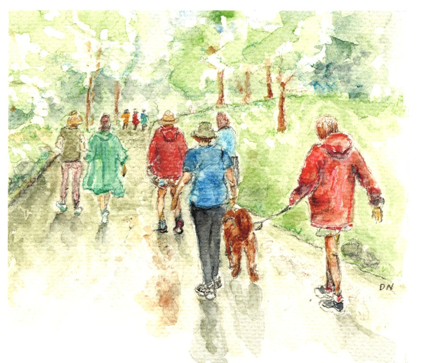 Rainy Day Walk