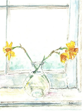 Daffodils